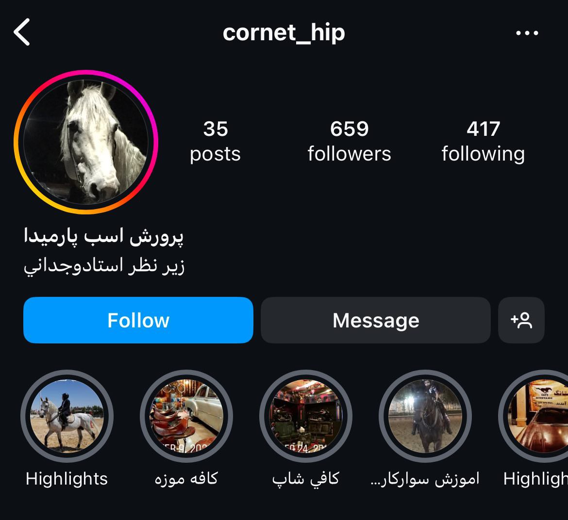 باشگاه اسب سواری پارمیدا​