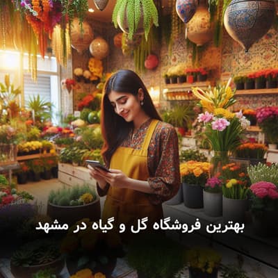 بهترین فروشگاه گل و گیاه در مشهد